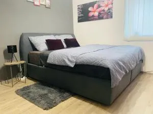 Studio Apartman Jovičić - Trojstveni Markovac