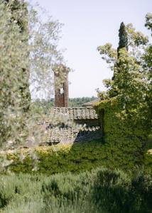Wine Resort Dievole img48