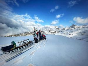 Tentes de luxe atipic lodge : photos des chambres