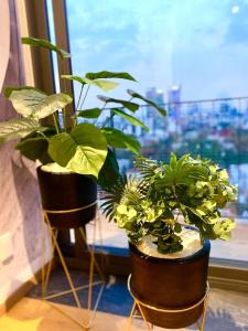 Penthouse con la mejor vista de Cdmx, 6 personas, Gym y 2 parkings