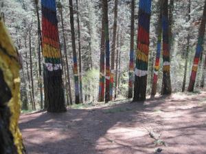 Andramari Tourist Home Parking& wifi