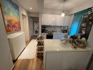 Luxury apartment in city center