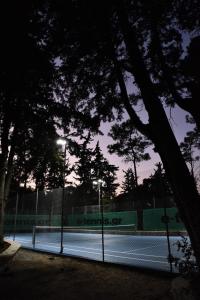 DASÝLIO - earthy living homes