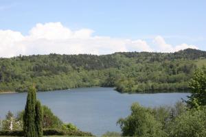 Campings Volcans Vacances Les Chalets Du Lac : photos des chambres