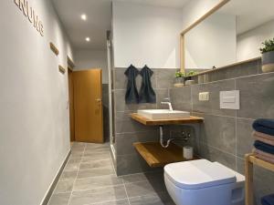 FeWo Ostrau, neues Bad, neue Küche, zentral, Sandstein-Ferien, Terrasse