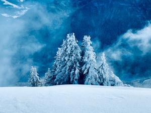 Appartements APPARTEMENT COSY AUX SAISIES n1 : photos des chambres