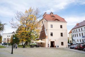 Legnica Apartament 30m2 Noclegi Katedralna
