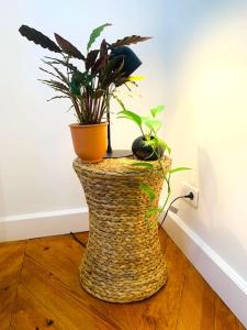 2 bedrooms - Paris centre - Champs Elysees