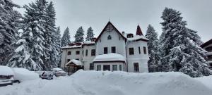 Villa Ibar