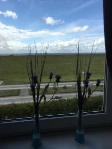 Residenz am Deich NDD 20