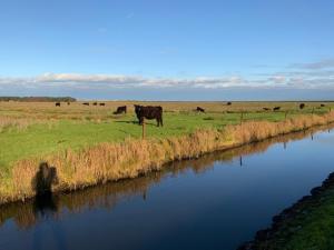 Kaiserhof Kaiserhof 103