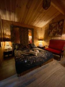 Sejours chez l'habitant Chalet Valle di Corti : photos des chambres