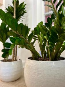 Be Our Gastons A Walk in the Park