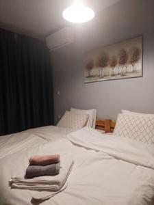 Ρετρό Κλινάρι