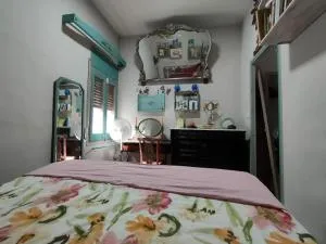 Apartament Volcà Aiguanegra - Olot