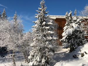 Appartements Appartement Chamrousse : photos des chambres