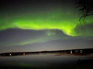 Unique Cabin with Breathtaking Northern Light View