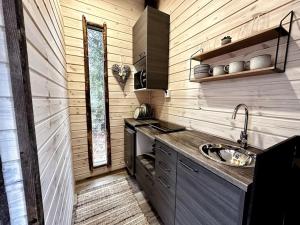 Unique Cabin with Breathtaking Northern Light View