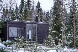 Unique Cabin with Breathtaking Northern Light View