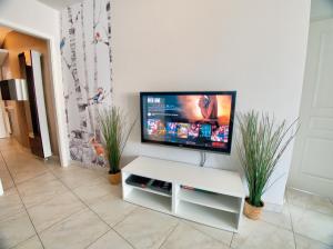 Appartements ☆ L'Exotique ☆ 2 chambres ☆ NETFLIX ☆ : photos des chambres