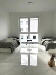 Apartment 4 Zimmer 111 Qm Küche, großes Balkon, 2x Bad Auto Parkplatz Citynah Braunschweig