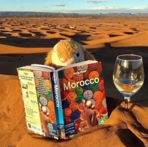 Merzouga Luxury Tents - Glamping