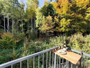 Apartment GRUN WALD Marianske Lazne