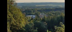 Apartment GRUN WALD Marianske Lazne