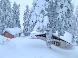 Ski in - Ski out am Hauser Kaibling