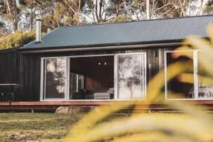 Seagrass on Sunset Bay - Alonnah