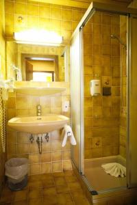 Single Room room in Hotel HAAS