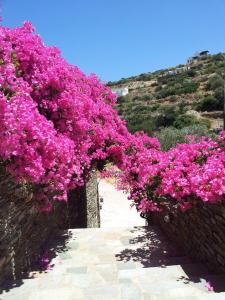 Ostria Studios Sifnos Greece