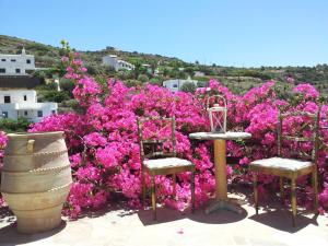 Ostria Studios Sifnos Greece