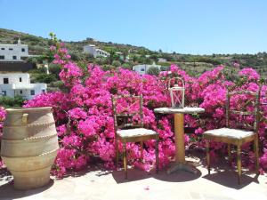 Ostria Studios Sifnos Greece