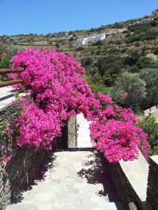 Ostria Studios Sifnos Greece