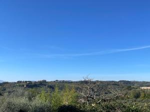 Il giardino del giuggiolo