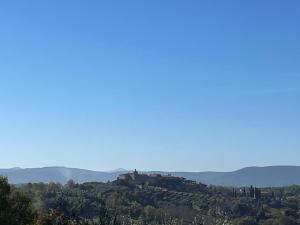Il giardino del giuggiolo