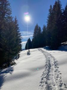 Apartment Kumitzblick