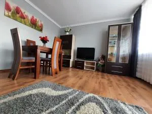 Słoneczny Apartament w Busku-Zdroju - 索莱克-特洛伊