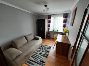 Słoneczny Apartament w Busku Zdroju