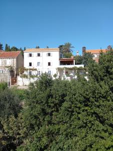 Villa Sea Dream Koločep