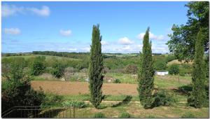 Villino Cortona - Casa vacanze a Cortona con piscina privata WiFi, AC - Toscana - Nelle vicinanze Perugia, Assisi, Montepulciano, Pienza, Siena
