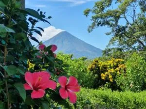 El Encanto Garden Hotel - Ometepe