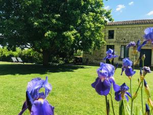 Maisons de vacances Au Troglo Spa - Diner & petit-dejeuner inclus : photos des chambres