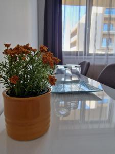 Vic Apartament