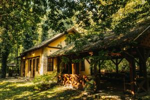 Forest House