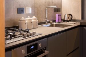 Industrial design loft with outdoor living terrace