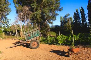 Hotel Boutique Raíces de Colchagua