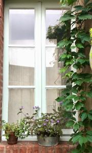 Maisons de vacances La Petite Maison d'a Cote : photos des chambres