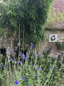 Maisons de vacances La Petite Maison d'a Cote : photos des chambres